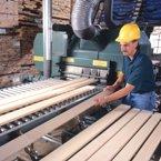 Baillie-Lumber-Cosq.jpg