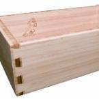 CCF bamboo 145.jpg CCF bamboo 145.jpg