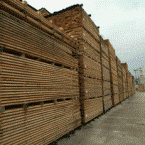 Coastal Lumber 145.gif