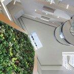 Green Globes Certification Costs Less than LEED: Drexel Study 