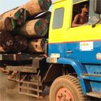 EIA: Environmental Investigation Agency