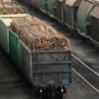 Timber Theft: Little Noticed; Serious Illegal Drain of Forests
