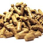 Enviva-pellets.jpg