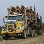 Canadian Forest Products Pushes for Greater Portion of Market