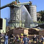 Crews squelch fire at lumber mill
