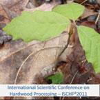 ISCHP2011-145.jpg