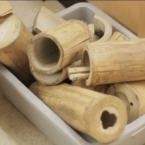 MIT-Bamboo-Research-145.jpg