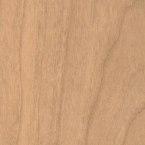 Northern finishes 145.jpg