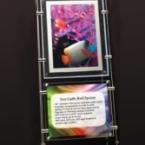 Outwater_crystallightSM.jpg