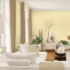 Pale Yellow Named 2014 Color of the Year by PPG PITTSBURGH PAINTS