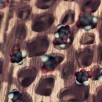 Eastman Launches Perennial Wood Business