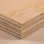 Spruce-plywood-145.jpg