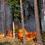 Sweden-Fire-Sala145.jpg