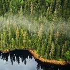 Tongass-National-Forest-Alaska-145.jpg