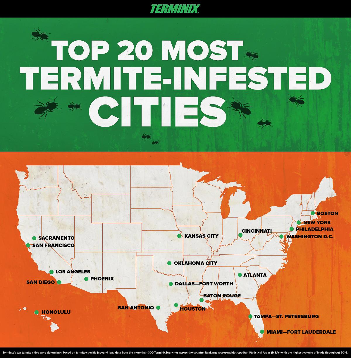It's True: Termites Prefer California to Texas