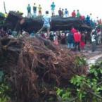 Tree-Kills-31-145.jpeg