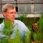 Vatech_foreststudySM.jpg