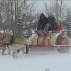 Wood-Snow-Roller-Video-145.JPG