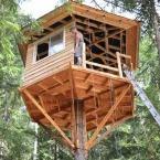 Wood-Treehouse-Construction-145.jpg
