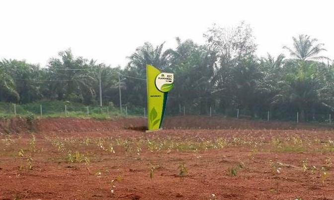 aAsia-Plantation-Capital.jpg