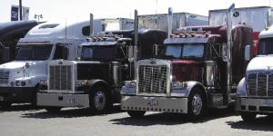 0705FDMmov1_opt(1).jpg