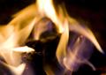 0811FDMfireprotection.jpg