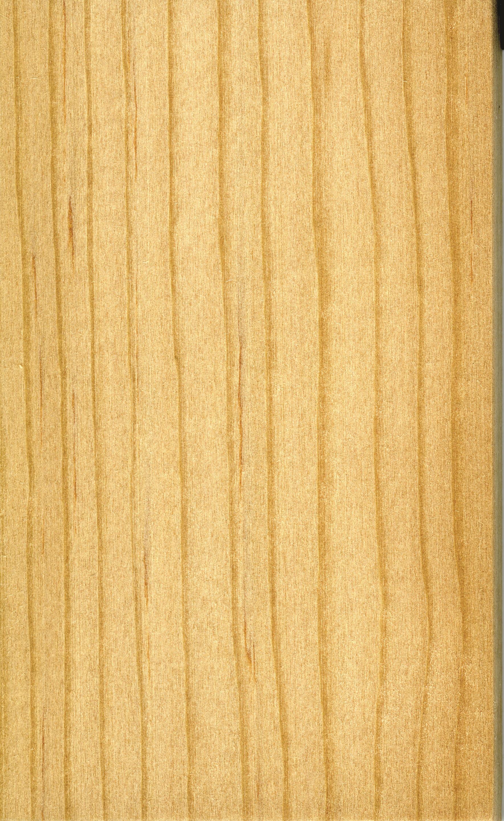 1306cmfexp_westernspruce2.jpg