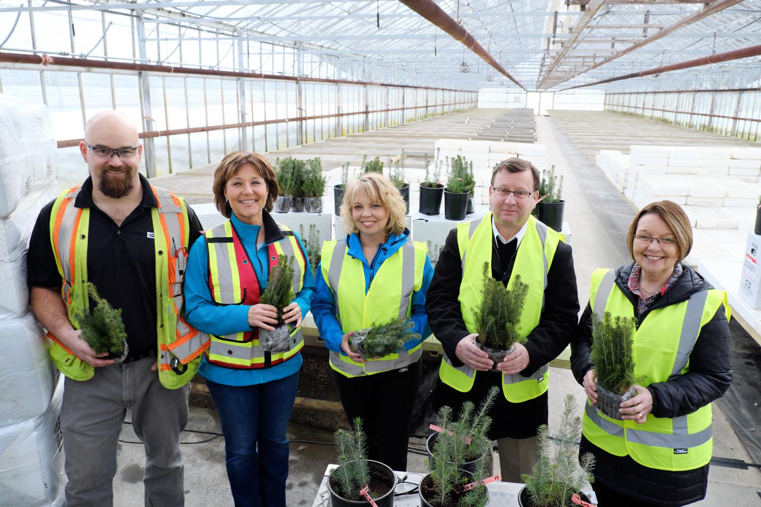 BC-reforestation.jpg