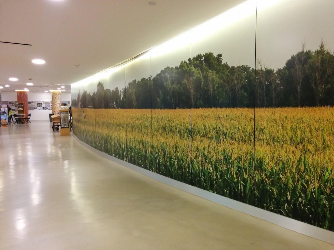 BioSurf, Corn Palace