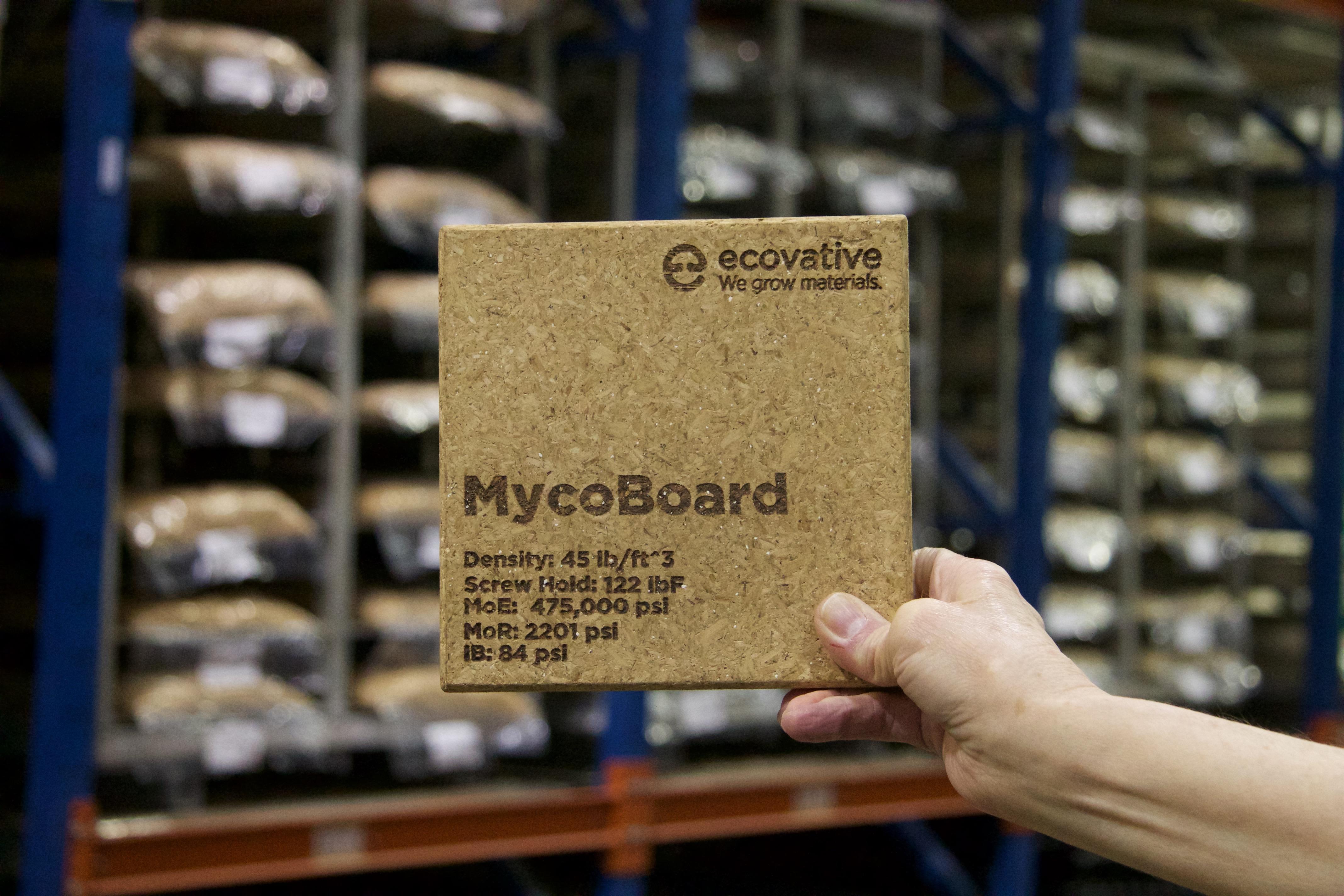 Ecovative, Mycoboard