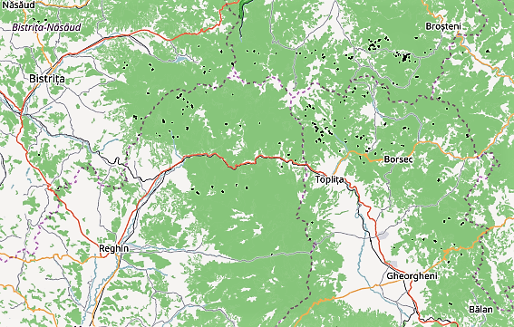 Romania Forester