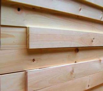 eastern white pine