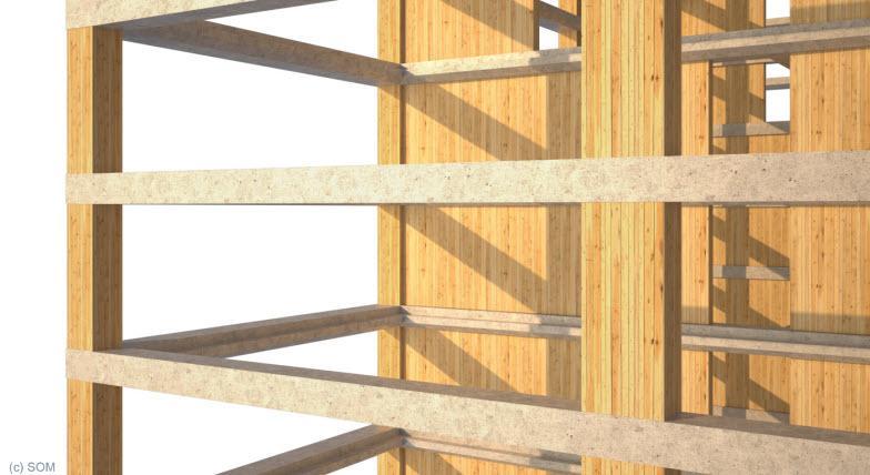 SOM-Timber-Tower2.jpg