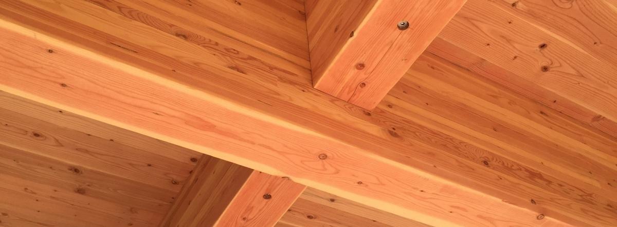 Tallwood-Design-Institute-ceiling.jpg