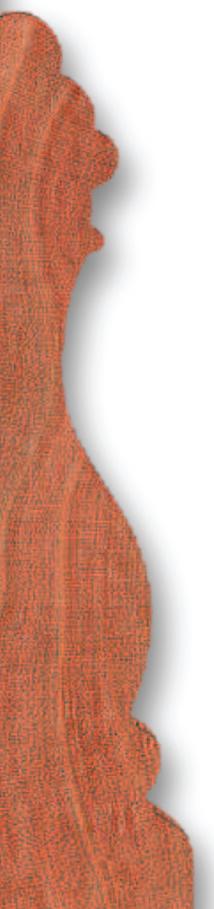 TiloProfile.jpg