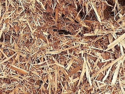beaver-bark-dust.jpg