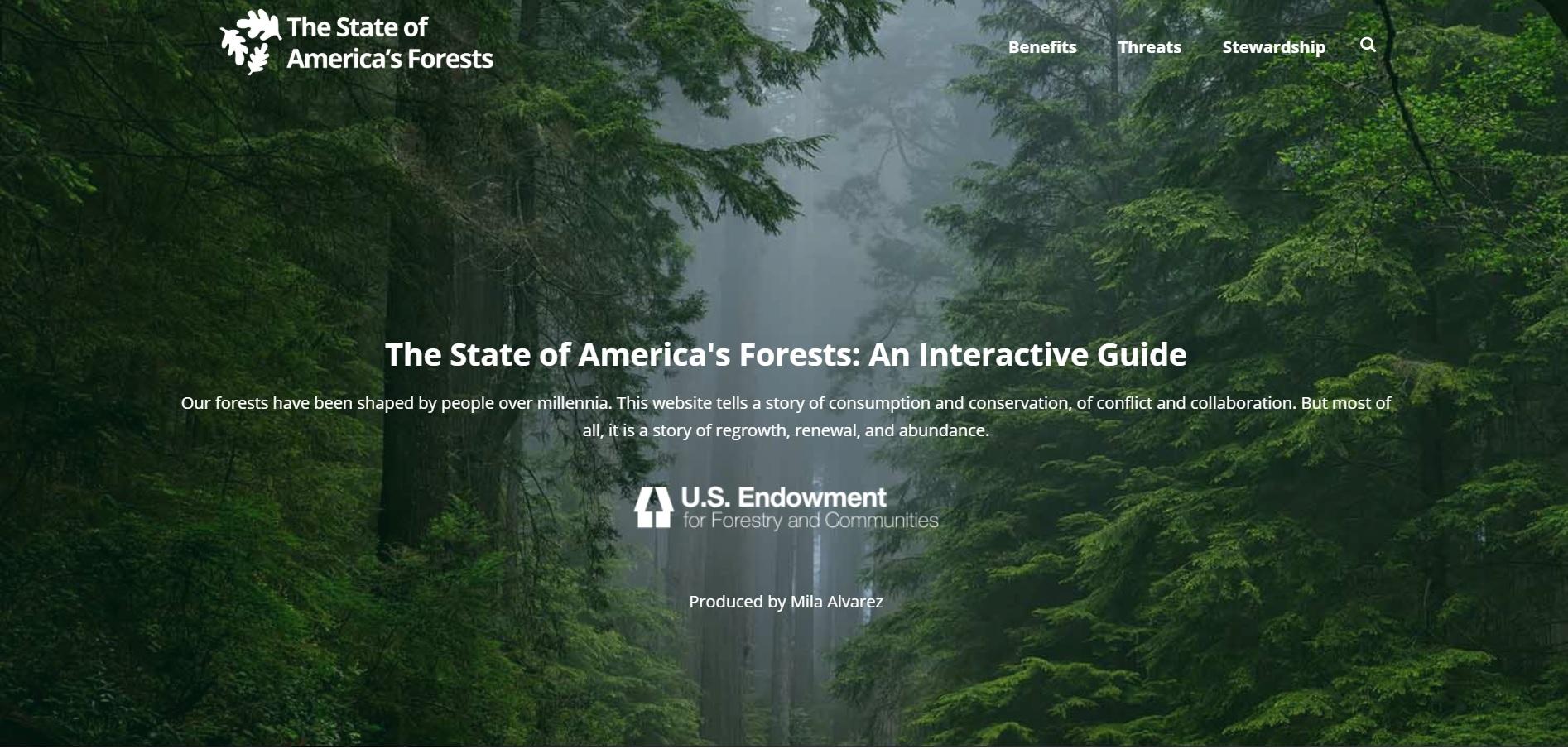 state-america-forests-website.jpg