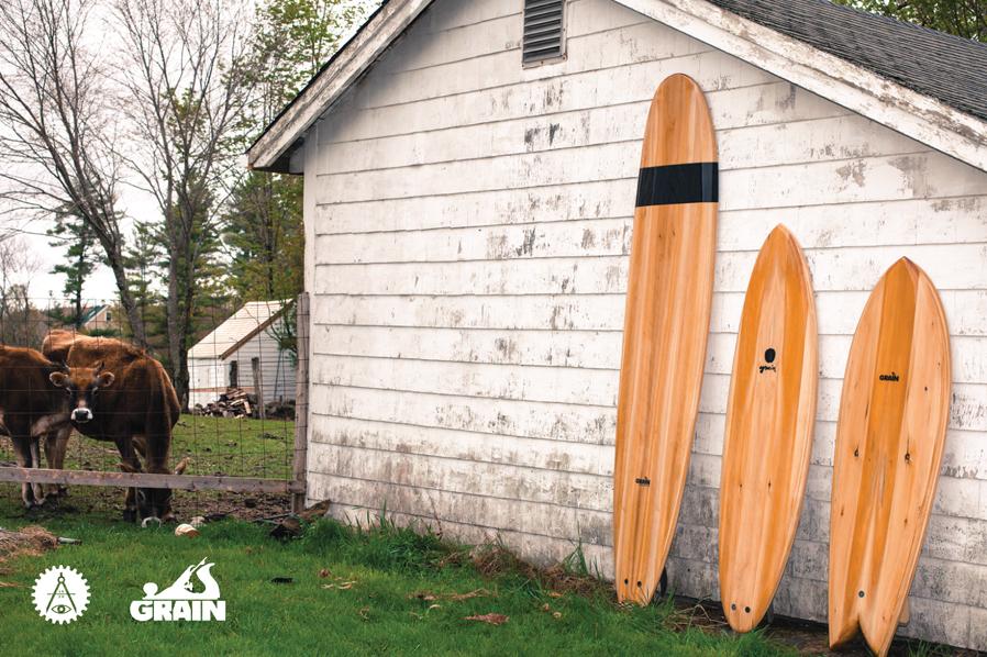 surfboard-5.jpg