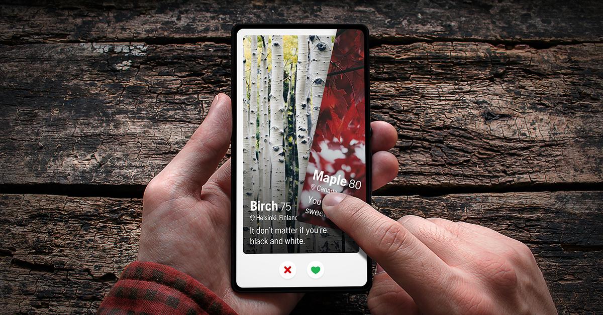 timber-dating-app-2.jpeg