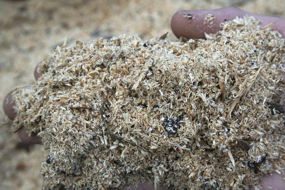wood-biomass.jpg