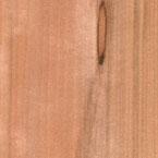 redgum145.jpg